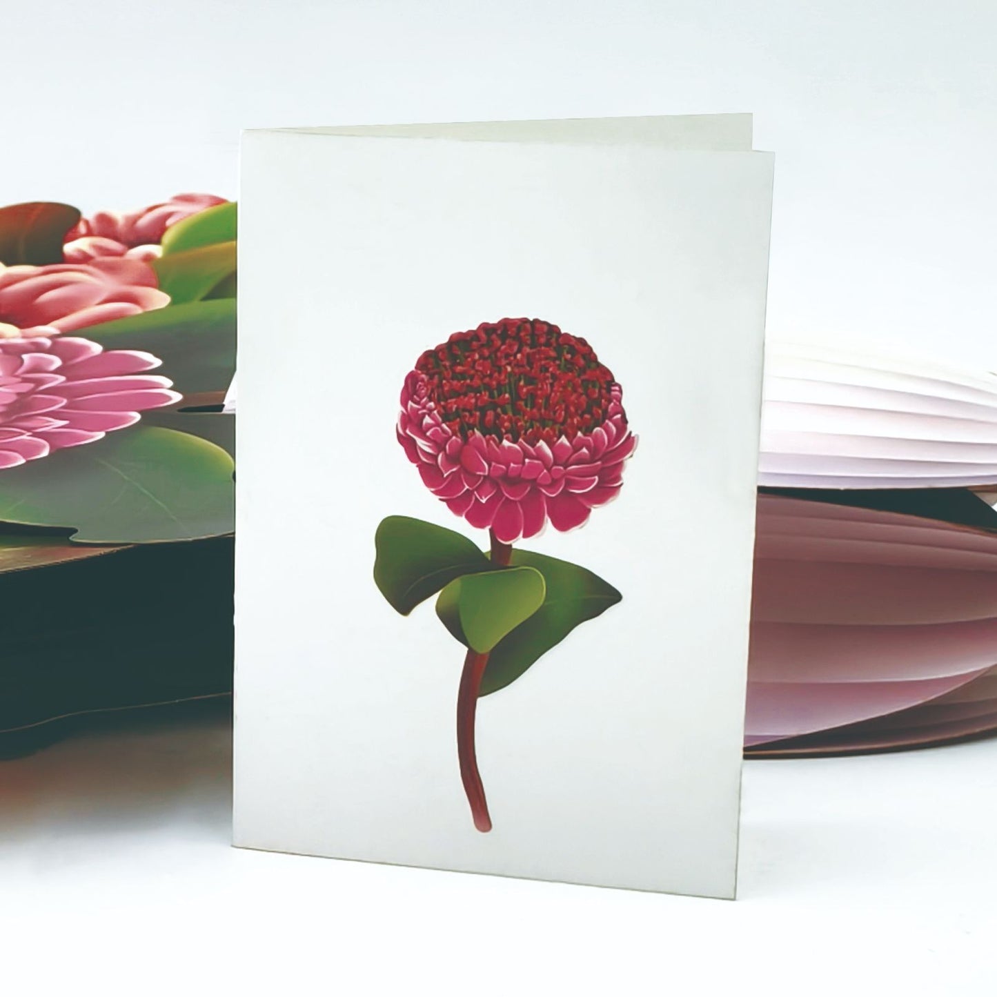 Uluru Blaze 3D Pop-up Bouquet